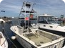 Robalo 26 Cavin Walkaround - motorboat