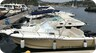 White Shark / Kelt White Shark 248 Sundeck - motorboot