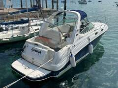 motorboot Sea Ray Sundancer 315 Noleggio Pollini Rent! Afbeelding 12